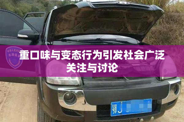 重口味与变态行为引发社会广泛关注与讨论