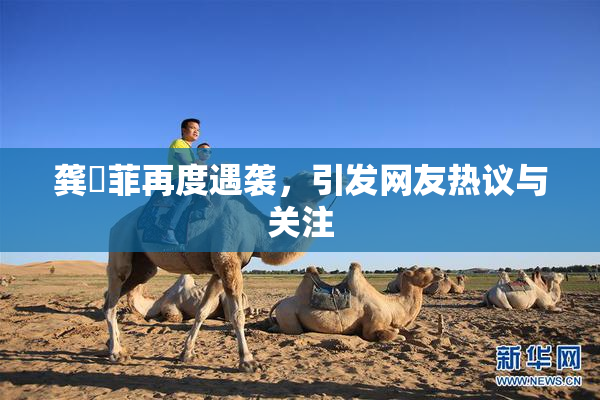 龚玥菲再度遇袭，引发网友热议与关注