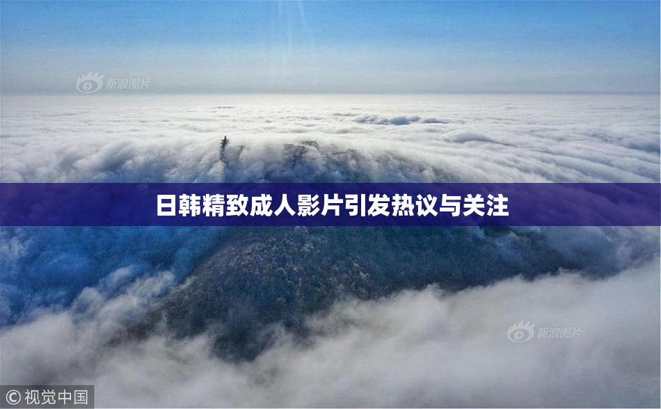 日韩精致成人影片引发热议与关注
