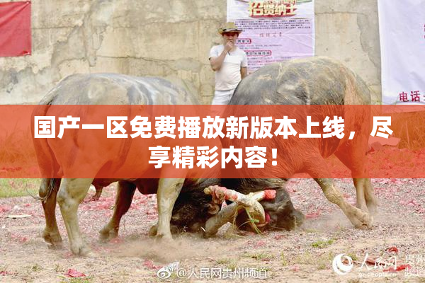 国产一区免费播放新版本上线，尽享精彩内容！