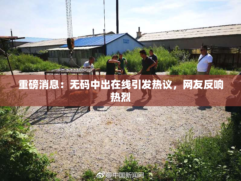 重磅消息：无码中出在线引发热议，网友反响热烈