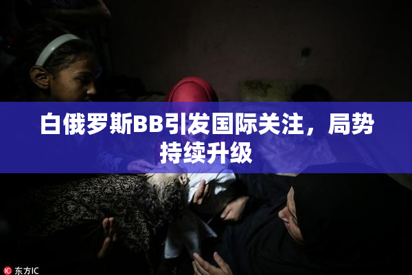 白俄罗斯BB引发国际关注，局势持续升级