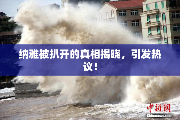 纳雅被扒开的真相揭晓，引发热议！