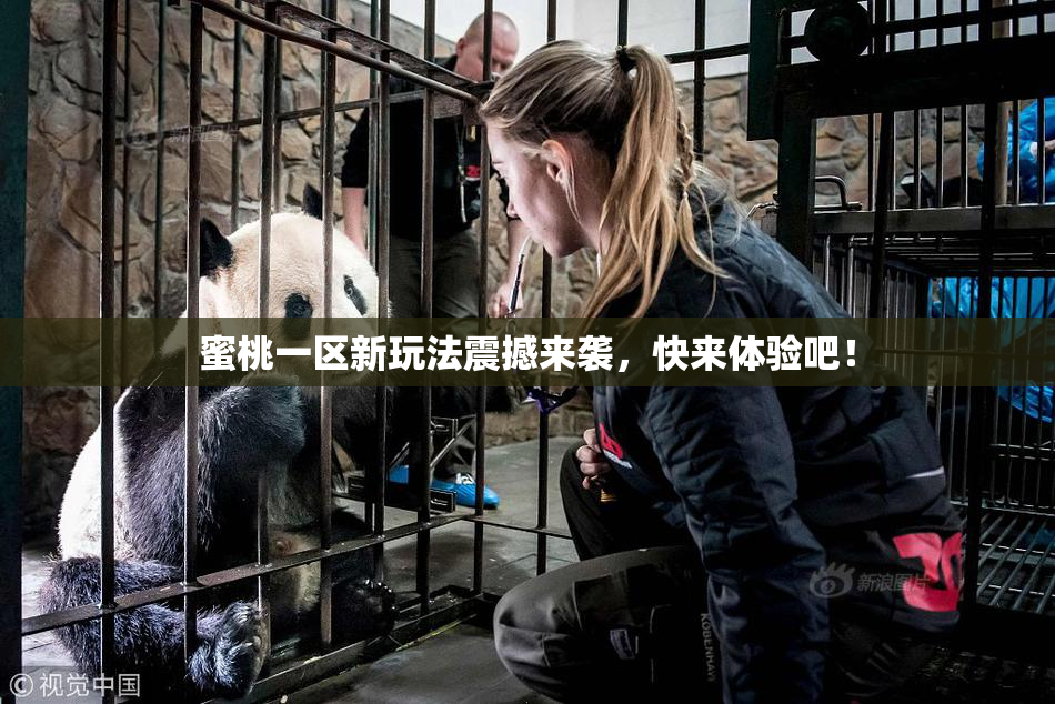 蜜桃一区新玩法震撼来袭，快来体验吧！