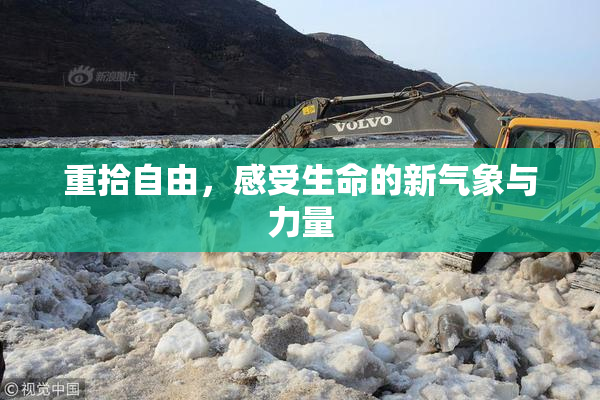重拾自由，感受生命的新气象与力量