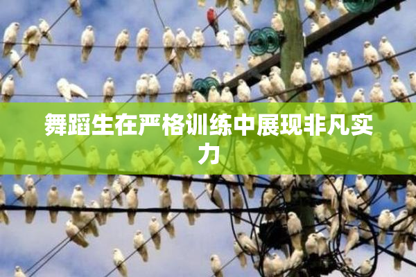 舞蹈生在严格训练中展现非凡实力