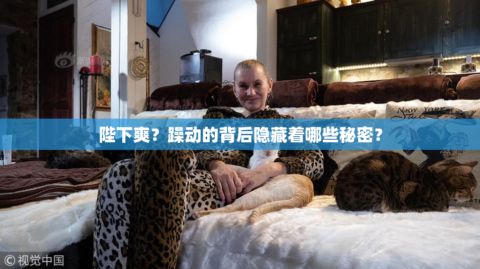 陛下爽？躁动的背后隐藏着哪些秘密？