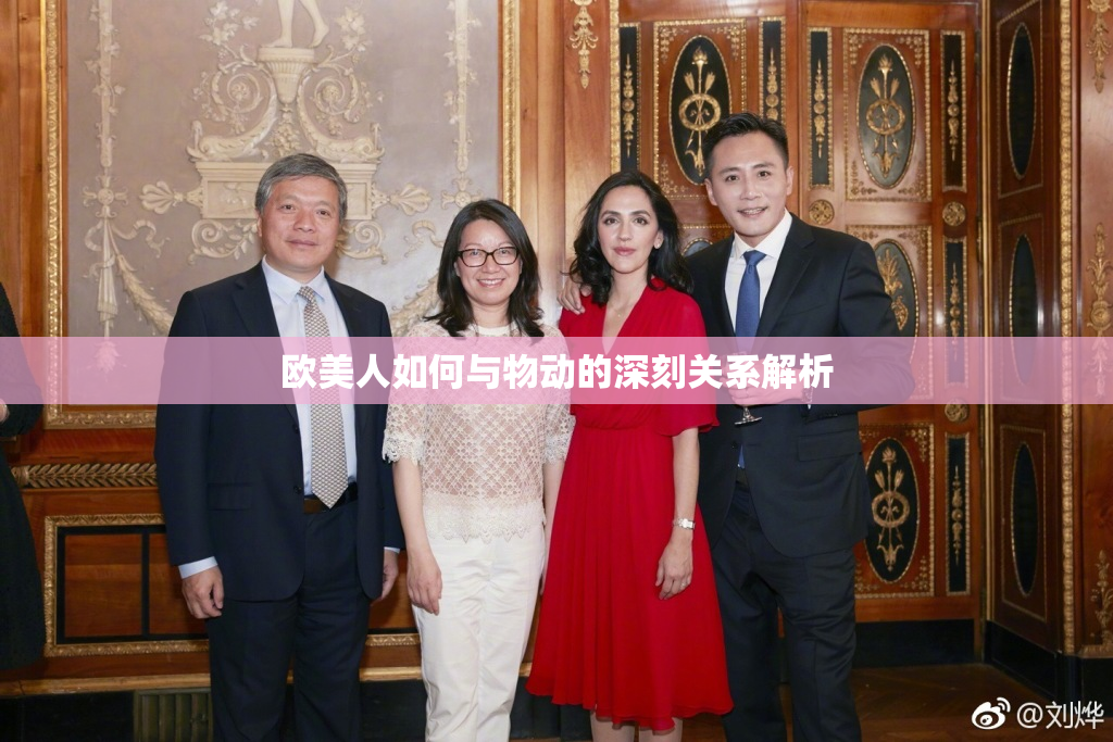 欧美人如何与物动的深刻关系解析