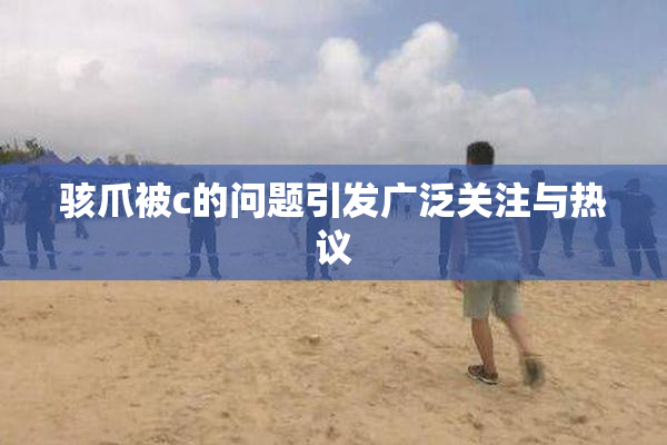 骇爪被c的问题引发广泛关注与热议