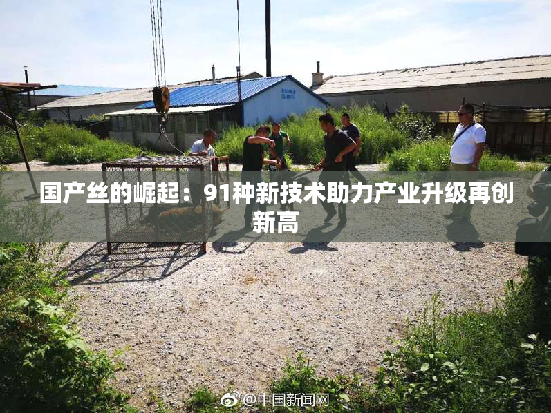 国产丝的崛起：91种新技术助力产业升级再创新高