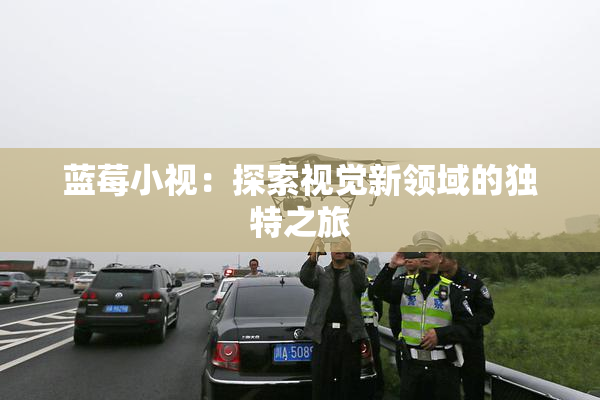 蓝莓小视：探索视觉新领域的独特之旅