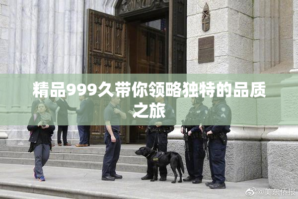 精品999久带你领略独特的品质之旅