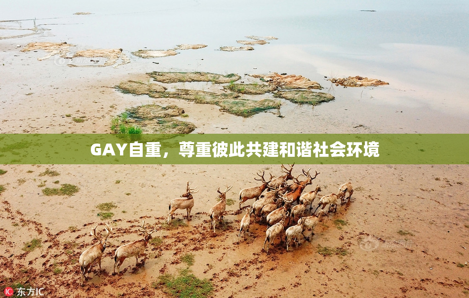 GAY自重，尊重彼此共建和谐社会环境
