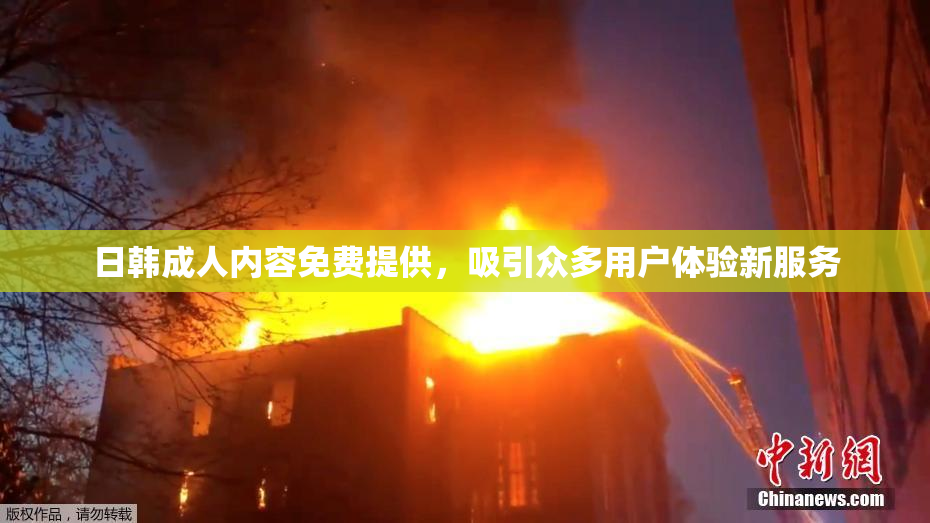 日韩成人内容免费提供，吸引众多用户体验新服务