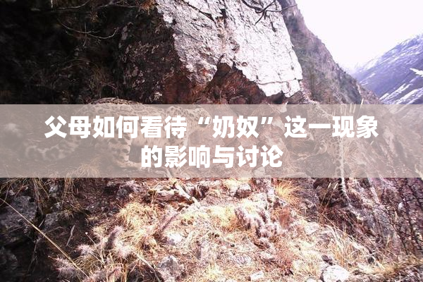 父母如何看待“奶奴”这一现象的影响与讨论