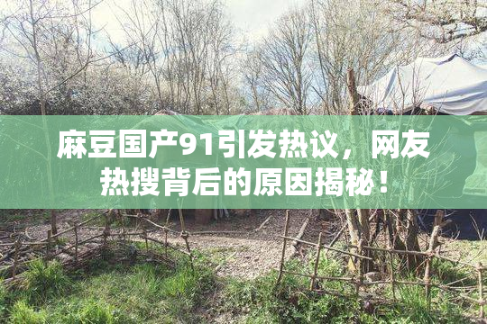 麻豆国产91引发热议，网友热搜背后的原因揭秘！