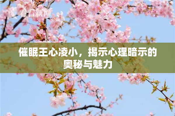 催眠王心凌小，揭示心理暗示的奥秘与魅力