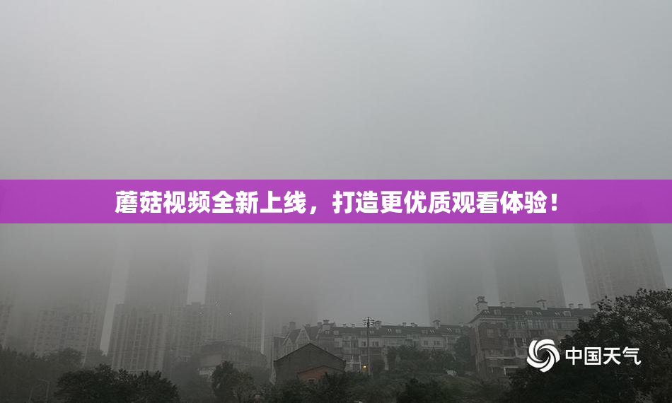 蘑菇视频全新上线，打造更优质观看体验！