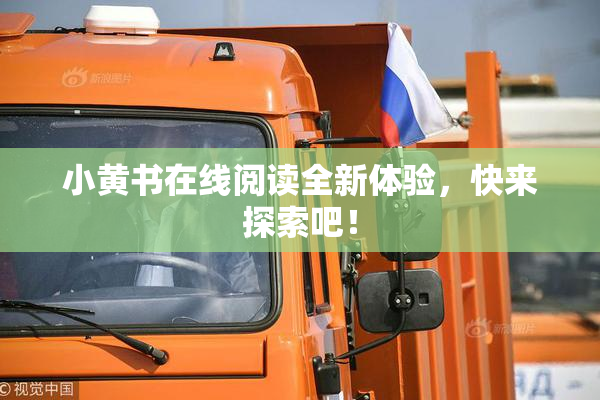 小黄书在线阅读全新体验，快来探索吧！