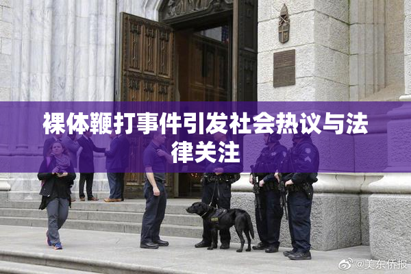 裸体鞭打事件引发社会热议与法律关注