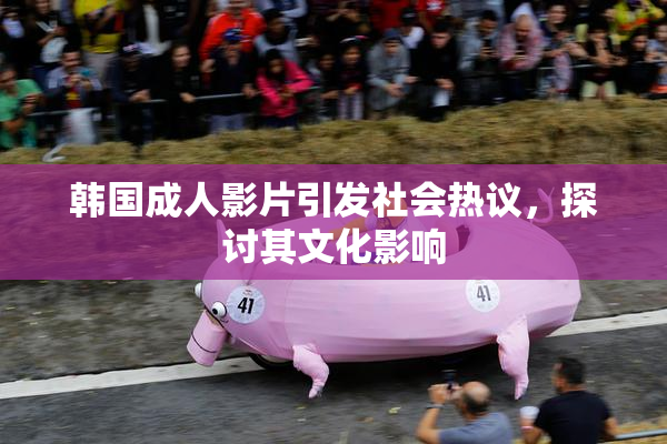 韩国成人影片引发社会热议，探讨其文化影响