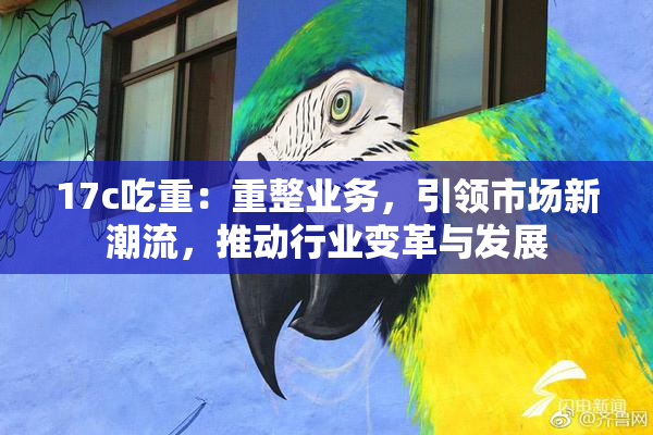 17c吃重：重整业务，引领市场新潮流，推动行业变革与发展