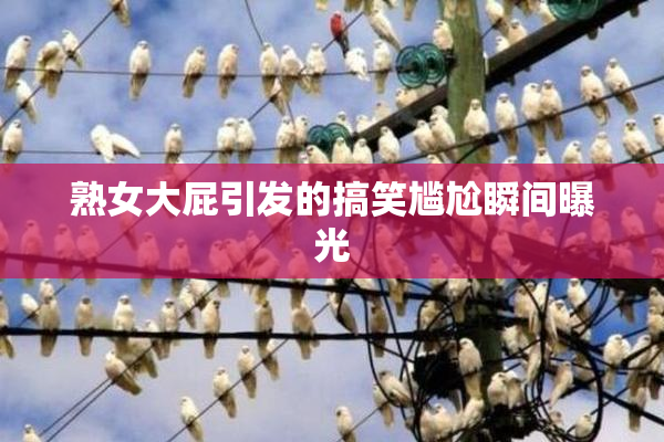 熟女大屁引发的搞笑尴尬瞬间曝光