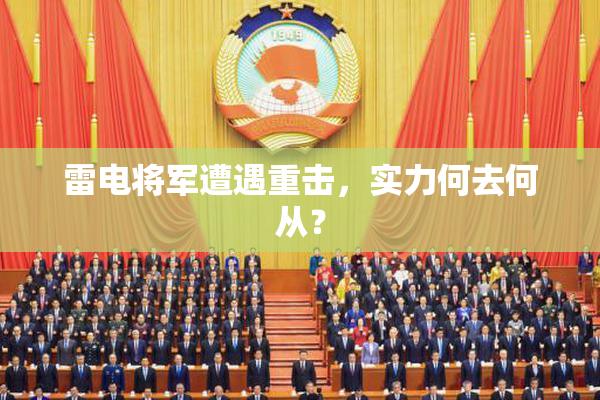 雷电将军遭遇重击，实力何去何从？