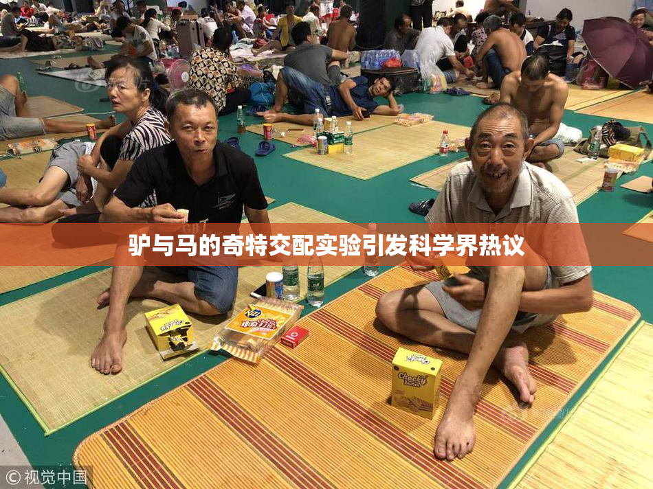驴与马的奇特交配实验引发科学界热议