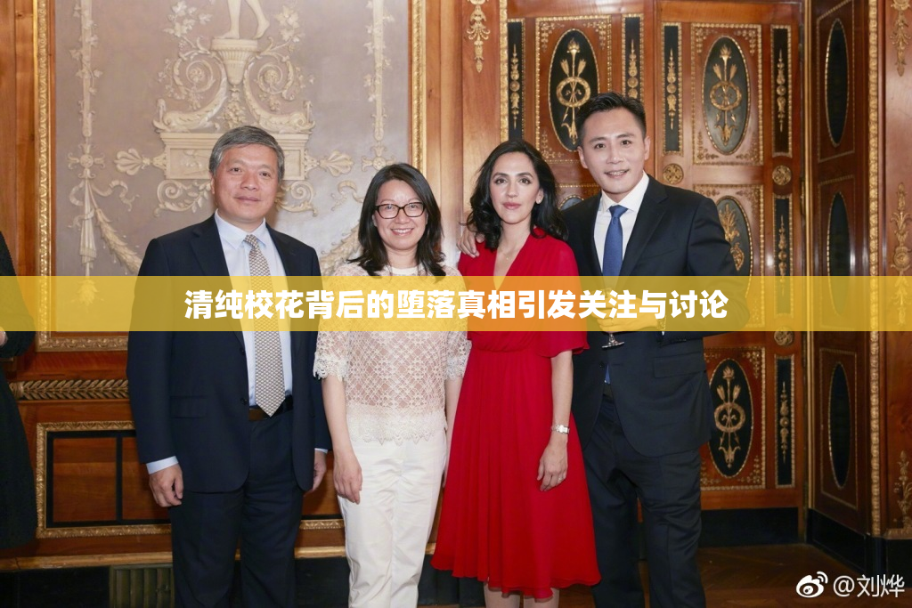 清纯校花背后的堕落真相引发关注与讨论
