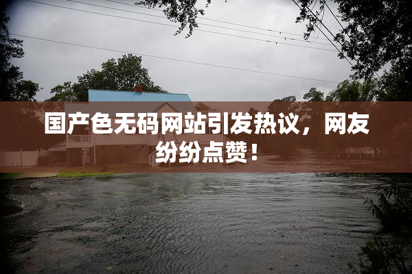 国产色无码网站引发热议，网友纷纷点赞！