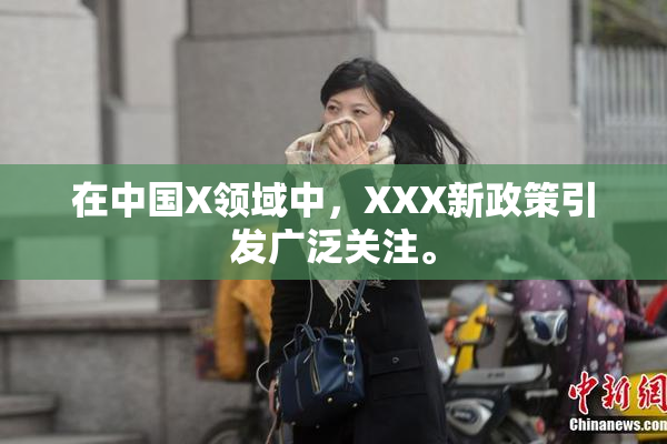 在中国X领域中，XXX新政策引发广泛关注。