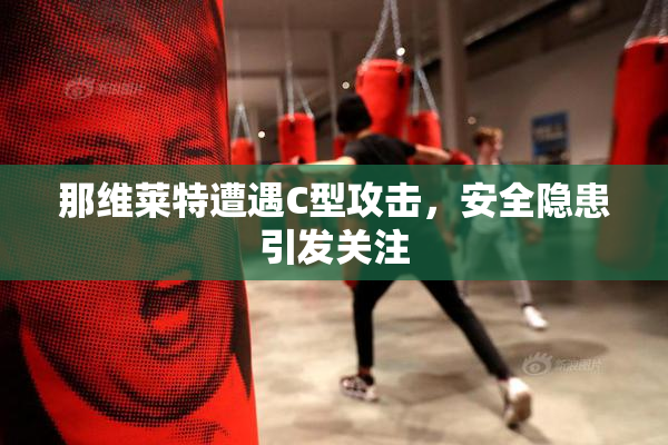 那维莱特遭遇C型攻击，安全隐患引发关注