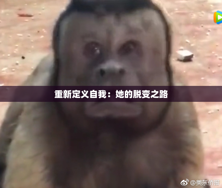重新定义自我：她的脱变之路