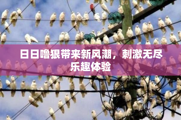 日日噜狠带来新风潮，刺激无尽乐趣体验