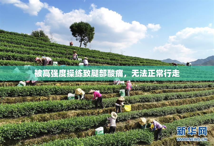 被高强度操练致腿部酸痛，无法正常行走