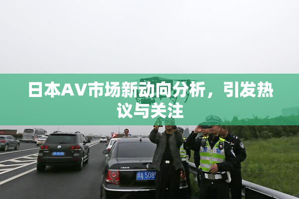 日本AV市场新动向分析，引发热议与关注