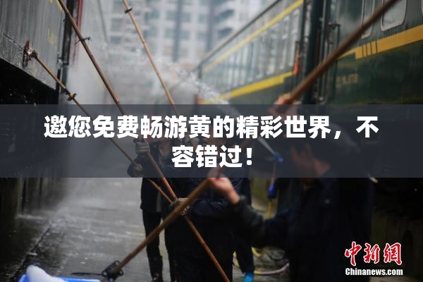 邀您免费畅游黄的精彩世界，不容错过！