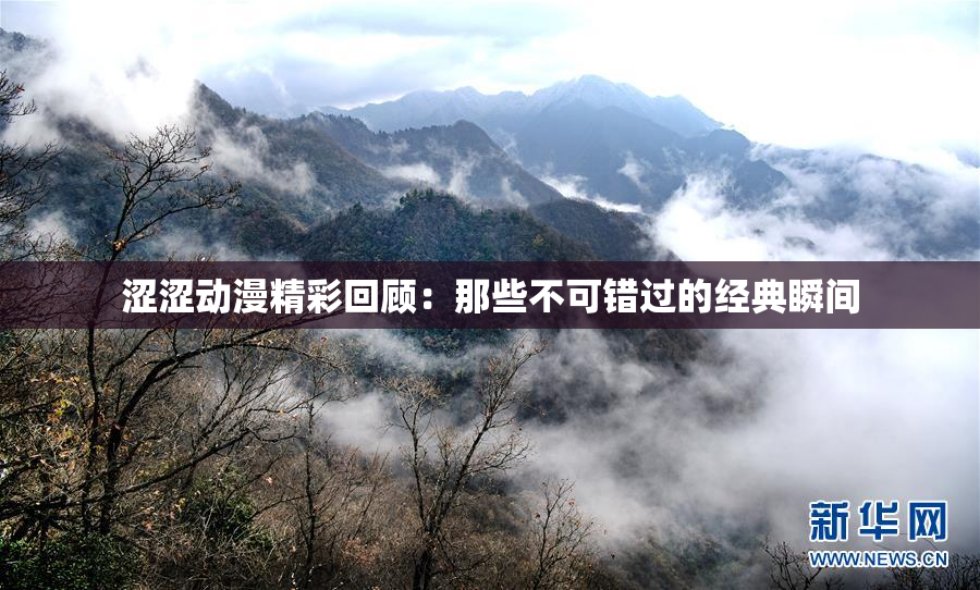 涩涩动漫精彩回顾：那些不可错过的经典瞬间