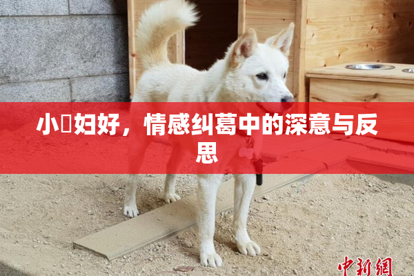 小婬妇好，情感纠葛中的深意与反思