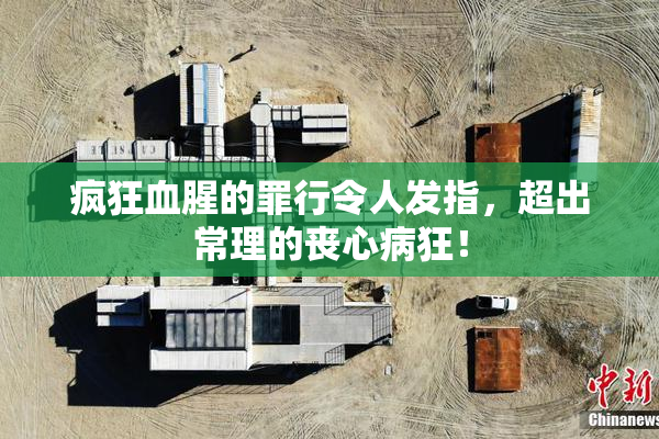 疯狂血腥的罪行令人发指，超出常理的丧心病狂！