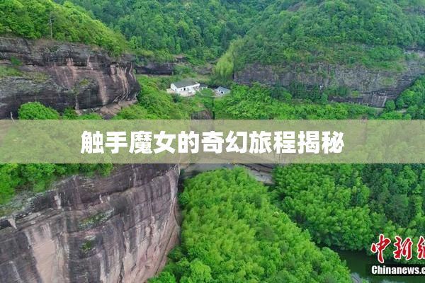 触手魔女的奇幻旅程揭秘