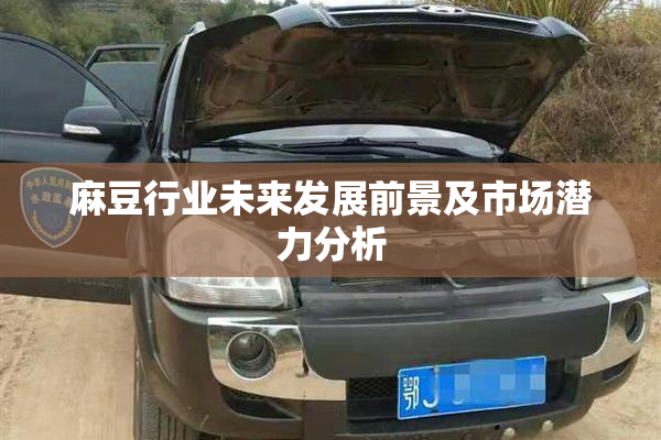 麻豆行业未来发展前景及市场潜力分析