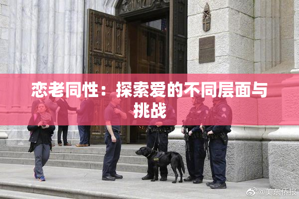 恋老同性：探索爱的不同层面与挑战