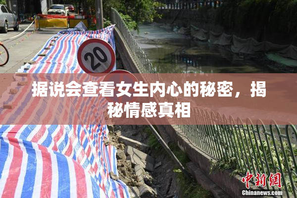 据说会查看女生内心的秘密，揭秘情感真相