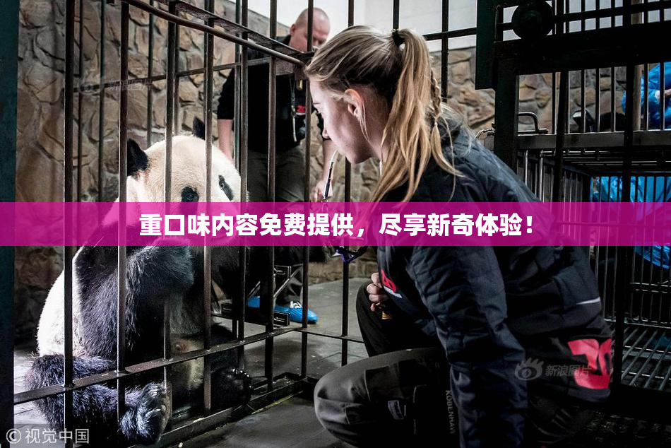 重口味内容免费提供，尽享新奇体验！