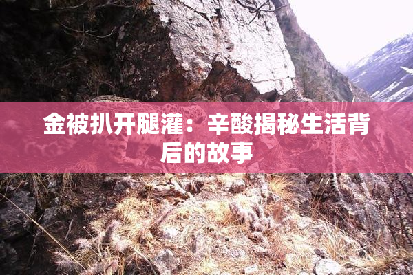 金被扒开腿灌：辛酸揭秘生活背后的故事