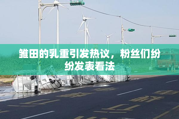 雏田的乳重引发热议，粉丝们纷纷发表看法