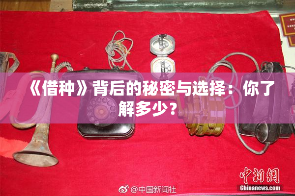 《借种》背后的秘密与选择：你了解多少？