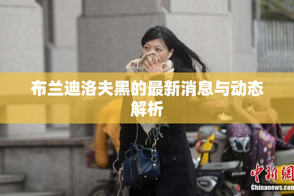 布兰迪洛夫黑的最新消息与动态解析